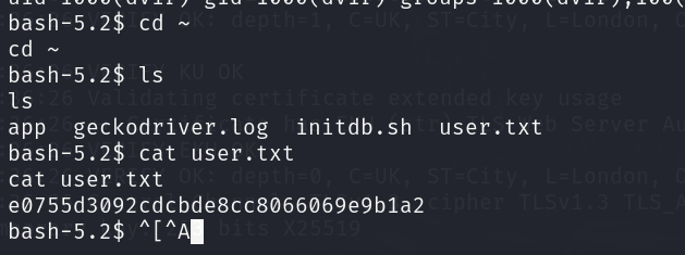 image-20240401204712422