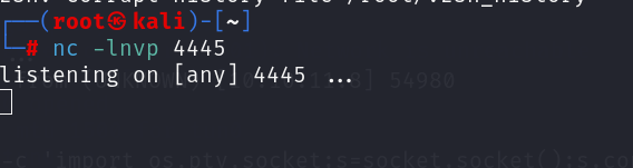 image-20240401205545270