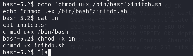 image-20240401212226829