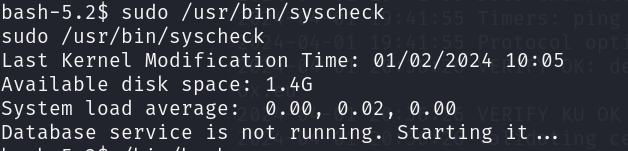 image-20240401212259622