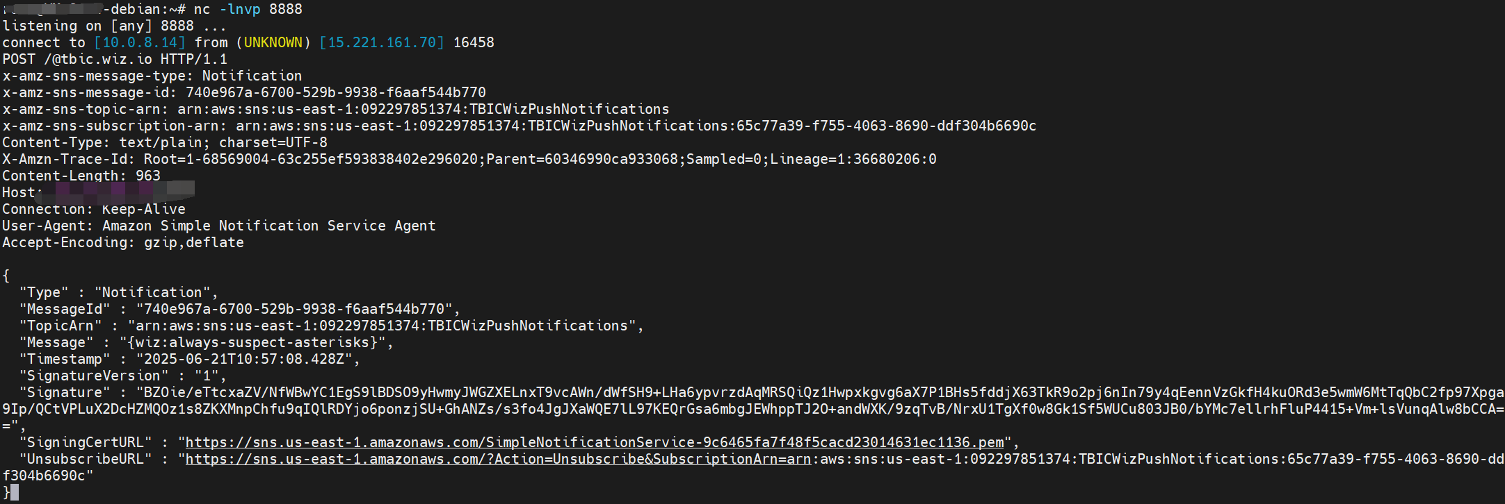 image-20250621185811558