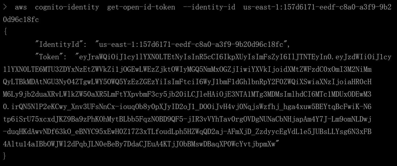 image-20250621230152973